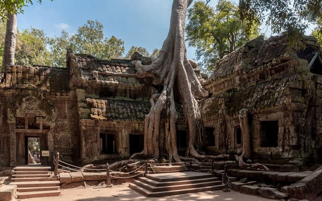 Ta Prohm Temple