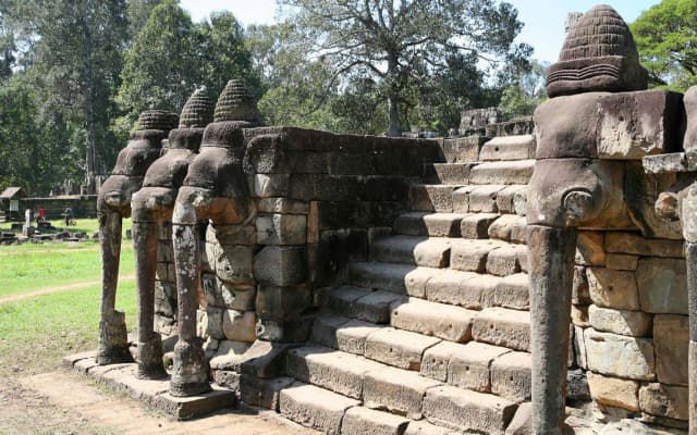 Elephants Terrace