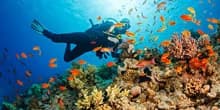 Exploring the beauties of the sea