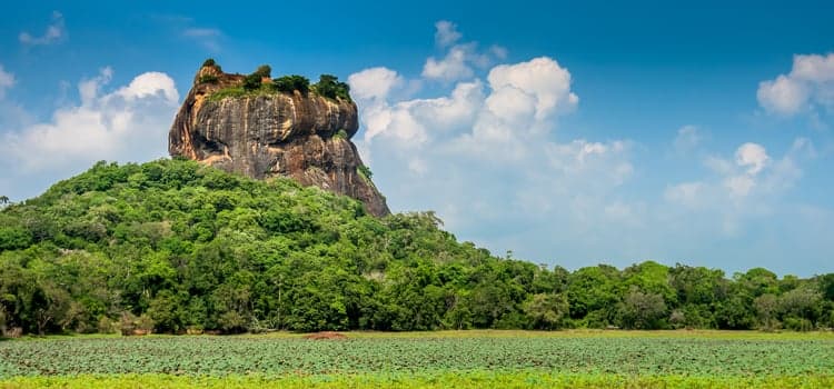 https://olanka-strapi-live-s3.s3.ap-southeast-1.amazonaws.com/Sri_Lanka_trips_7_days_Sigiriya_cover_73e3a22637.jpg