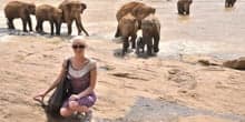 At Pinnawala Elephant Orphanage