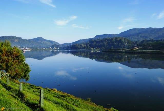 Serene Lake Reflections